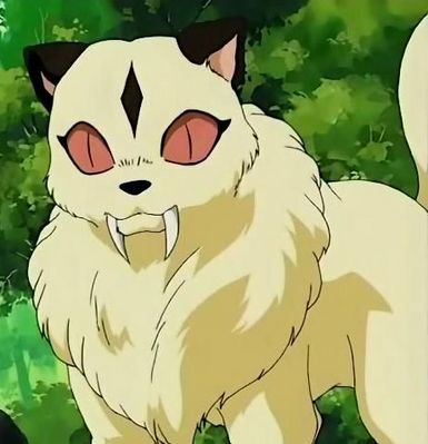 normal_kirara536.jpg