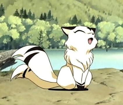 kirara.jpg